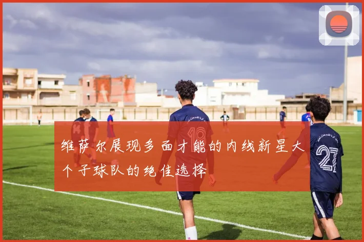 维萨尔展现多面才能的内线新星大个子球队的绝佳选择