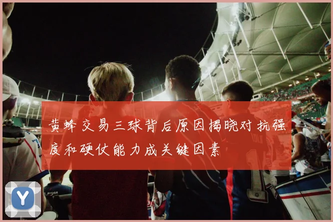 黄蜂交易三球背后原因揭晓对抗强度和硬仗能力成关键因素